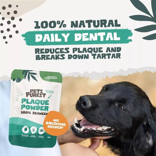 Pets Purest Plaque Off Powder for Dogs & Cats – Natural Dental Care Food Topper 100g